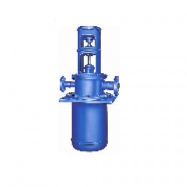 WKB Vertical Multistage Ring Section Pump