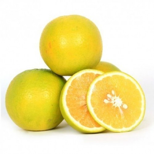 Fresh Citrus Limetta