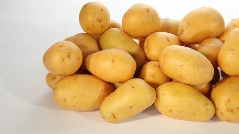 Fresh Potato