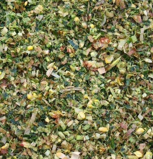 Cattle Feed Silage