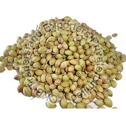 Normal Whole Coriander Seeds