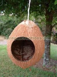Coconut Shell Bird House