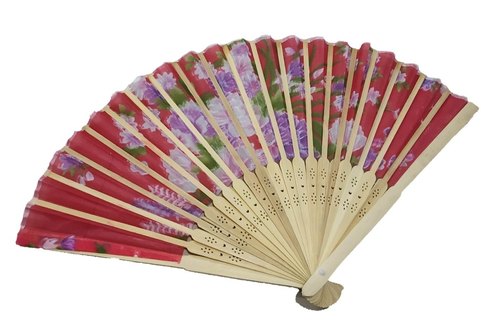 Japanese Folding Hand Fan