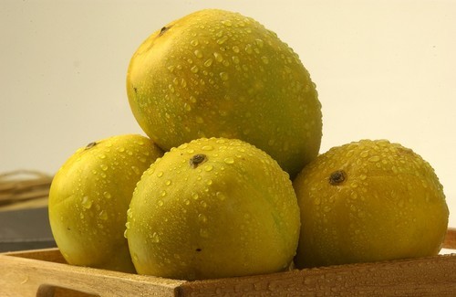 Devgad Premium Alphonso Mango