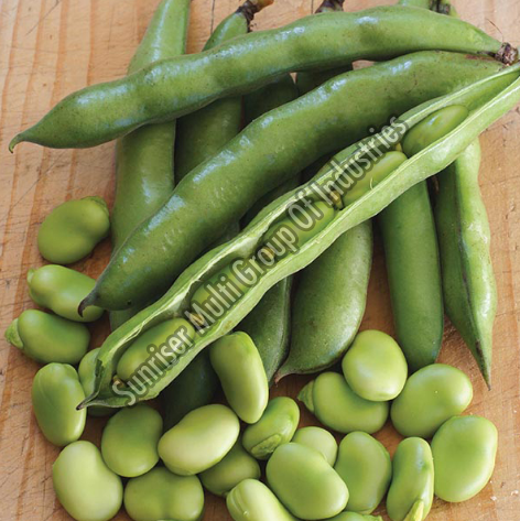 Fresh Broad Beans
