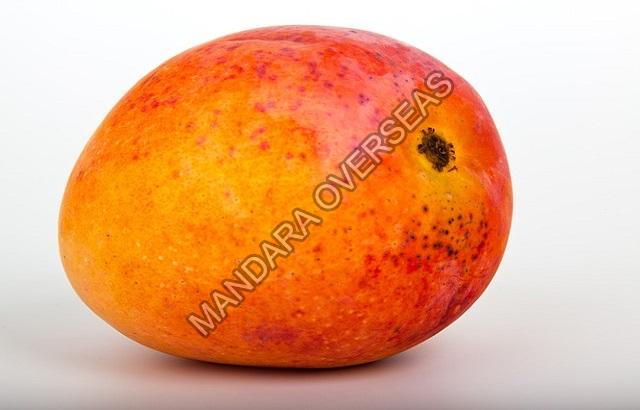 Fresh Mango