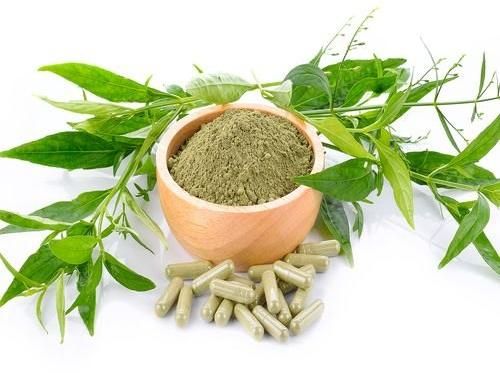 Kalmegh Extract