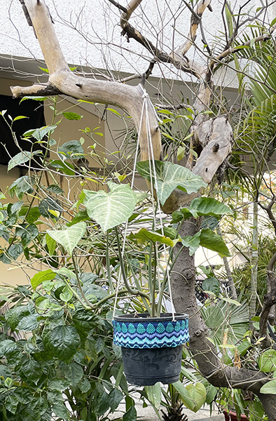 Hanging Plant Pot Ring