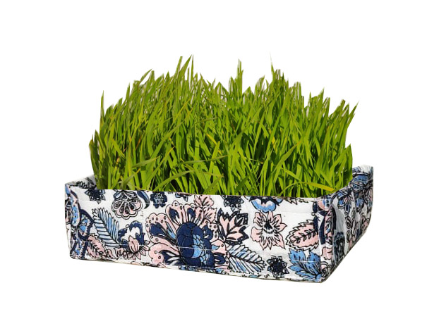 Pink Blue Flowers Wheat Grass Tray