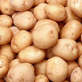 Chipsona Potato Seeds