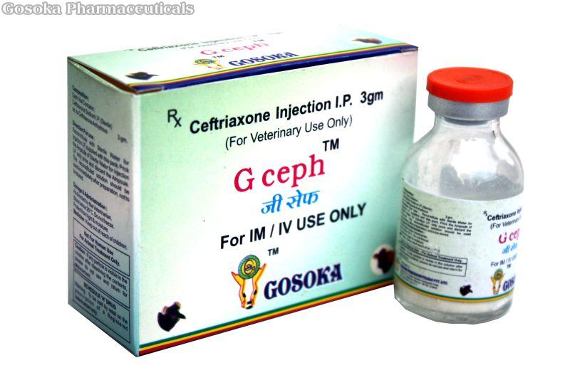 G Ceph Injection