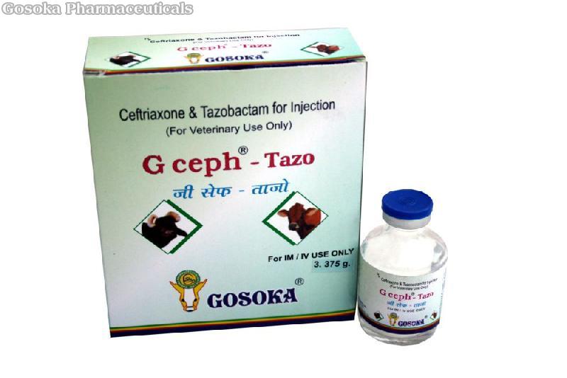 G Ceph - Tazo Injection