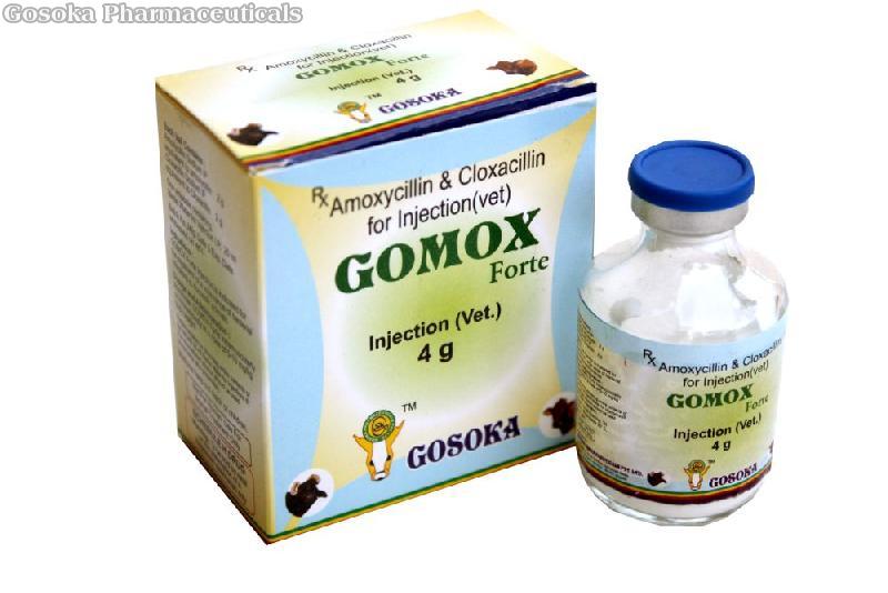 Gomox Forte Injection