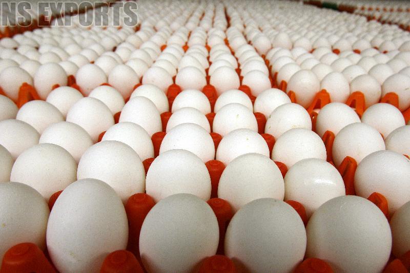 White Eggs 01
