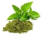 Tulsi Leaf Powder