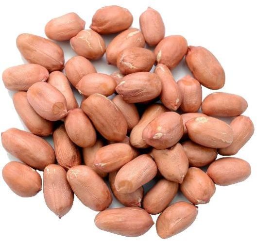 Bold Peanut Kernel