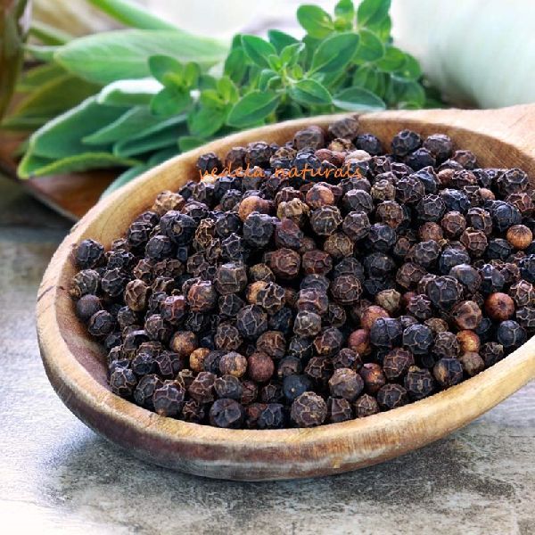 Black Pepper Seeds
