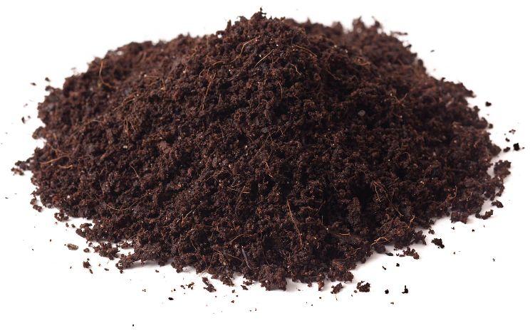 Mushroom Compost