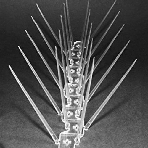 Plastic Bird Spike