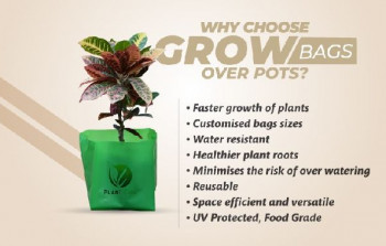 Oxo Biodegradable plant grows Bags