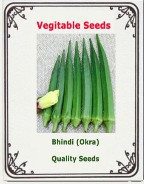 Hybrid Okra Seeds