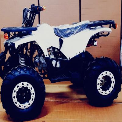 White 125CC Neo Plus ATV