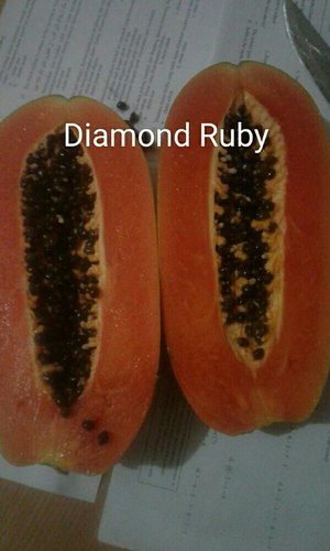 Diamond Ruby Papaya Seeds