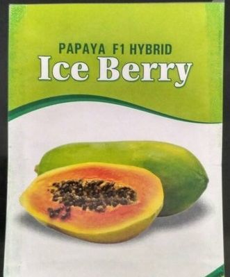 Ice Berry Papaya Seeds