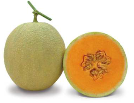 Kundan Muskmelon Seeds