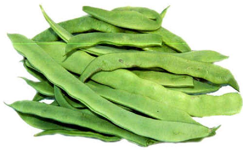 Fresh Flat Beans