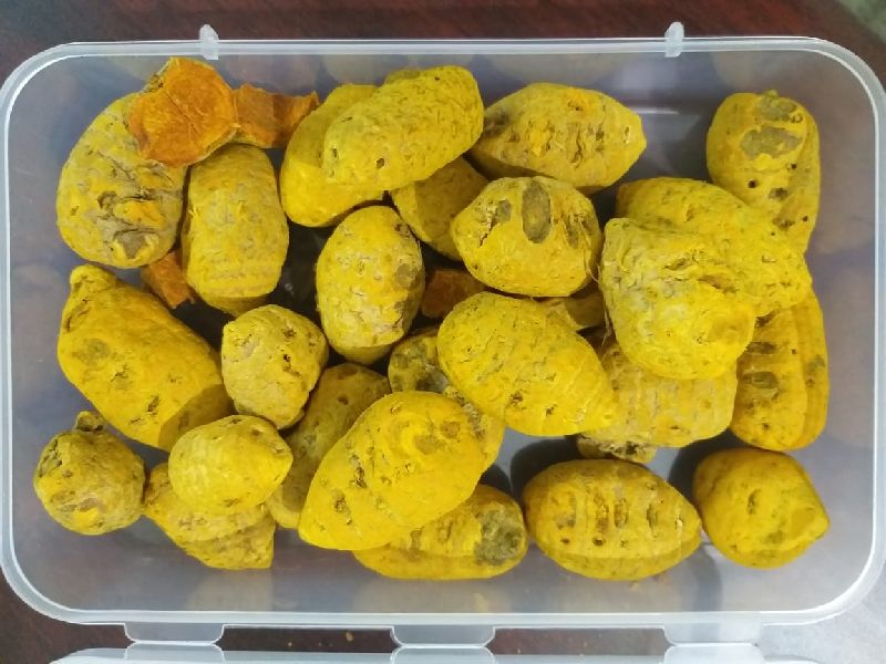 Dry Turmeric Bulb