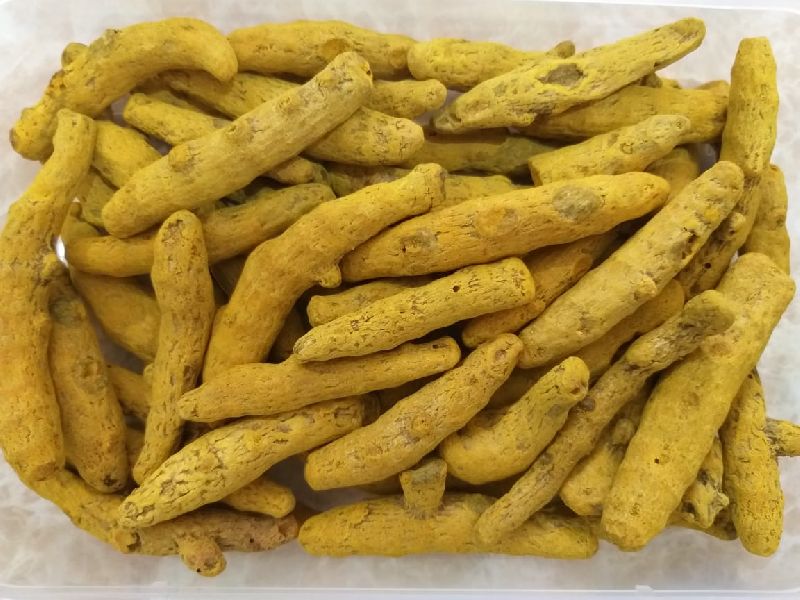 Dry Turmeric Finger
