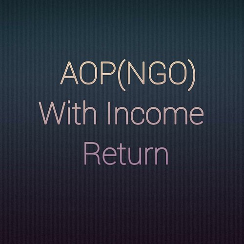 AOP(NGO) Audit Income Tax Return Services
