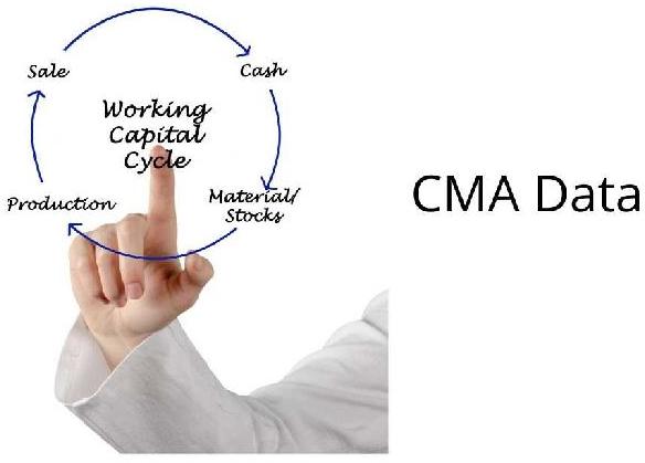 CMA Data & Project Report Services