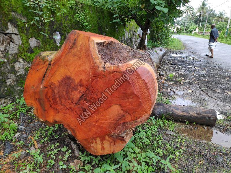 Jackfruit Wood