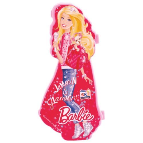 Barbie Pencil Box