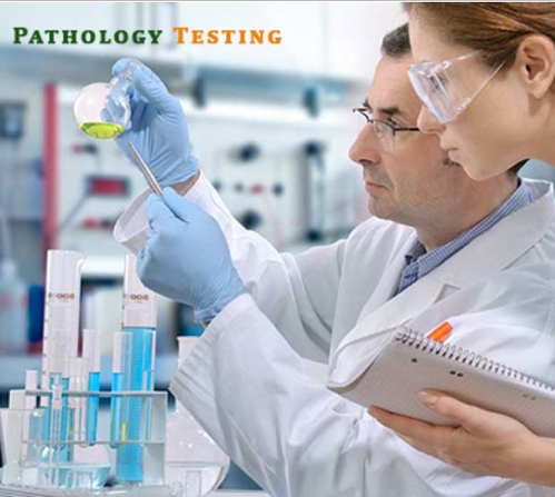 Pathology Testing Services