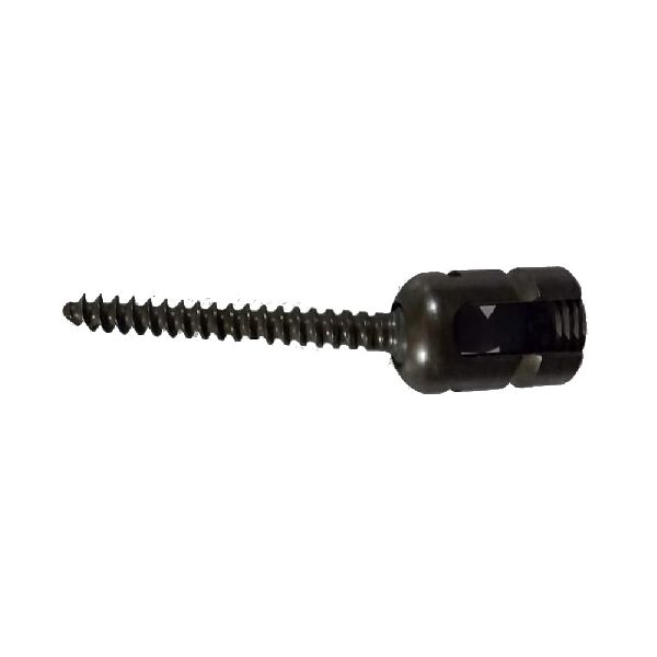Polyaxial Reduction Screw