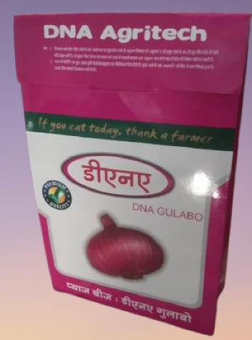 Gulabo Onion Seeds