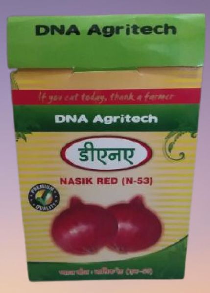 N-53 Nasik Red Onion Seeds