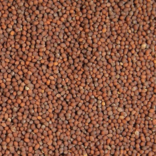 Brown  Mustard Seeds