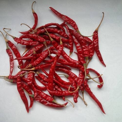 Dried Teja Red Chilli