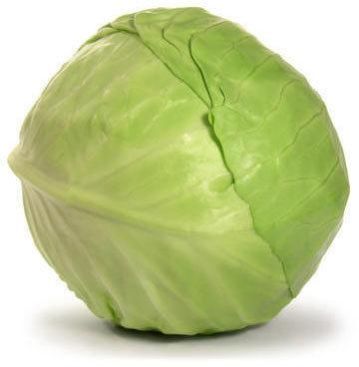 Fresh Cabbage
