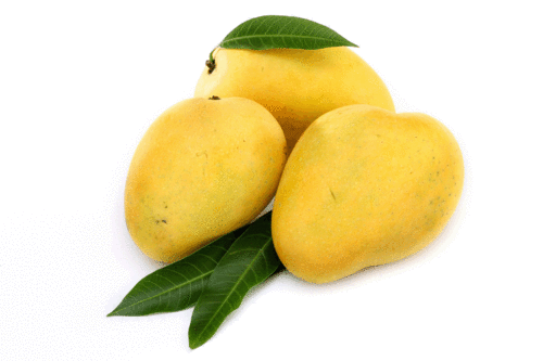 Benishan Mango