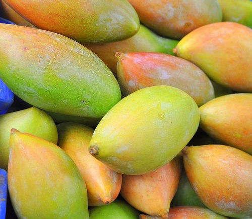 Kalmi Mango