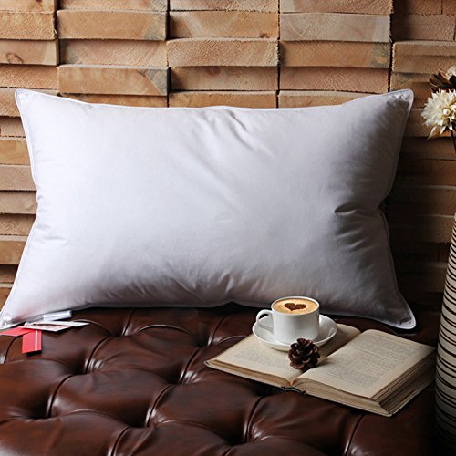 20 X 30 Inch Luxury Soft Feather Pillow