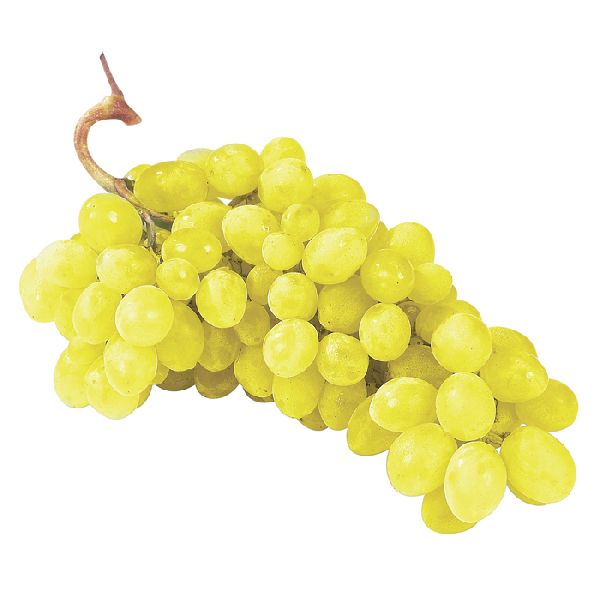 Fresh Yellow Grapes