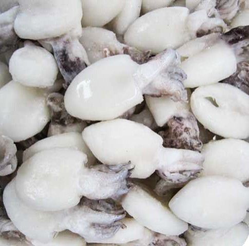 Frozen Cuttlefish