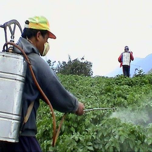 Chemical Pesticide