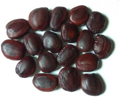 Tamarind Seeds